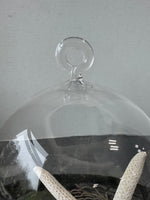 Blown Glass Terrarium Vase with Nautical Accents