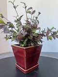 Faux Ruby Loropetalum in Brick Red Ceramic Pot