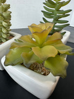 Trio of Faux Succulents in White Ceramic Pots