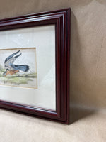 (B) Framed Merlin Bird Print