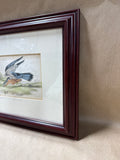 (B) Framed Merlin Bird Print