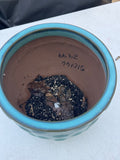 Teal Blue Ceramic Planter