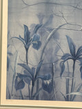 Iris & Butterfly Print by Marcus Thomas; Signed & Numbered (389/750)