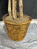 6.5FT Artificial Ficus Tree in Basket Planter