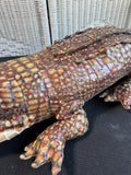 Sunny & Co. Small Plush Alligator