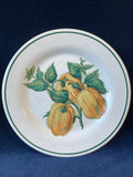 3 Piece Set of Williams Sonoma Harvest Salad Plates