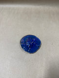 Blue Iridescent Sand Dollar Paperweight