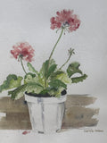Watercolor of Geranium by Lottie Snow; Signed