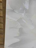 White Peony Canvas Print (B)
