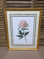 (B) Botanical Print