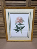 (B) Botanical Print