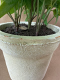 Artificial Potted Plant
