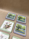 Set Of 6 Pimpernel Cork Back Coasters