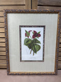 Trillium Botanical Print (B)