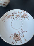 15-piece LS&S Carlsbad Austria Peach Floral Porcelain Tea Set