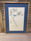 Asian Watercolor Print of Bluebird