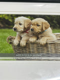 Picture Frame Lot, 3 pc