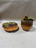 Acorn Covered Dish With Acorn Candy Plate