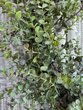 Faux Eucalyptus Spray Wreath