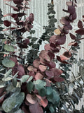 Dried Eucalyptus Arrangment in Faux Black Leather Bin