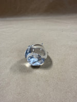 (A) Glass Mouse Paper Weight