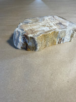 (A) Petrified Wood With Felt