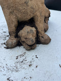 Dog with Puppy Cement Garden Statue