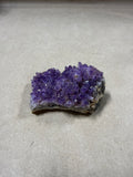 (N) Amethyst Cluster Specimen