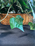 Faux Ivy Arrangement in Basket Planter