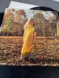 The Allman Brothers Band: Brothers and Sisters Vintage LP Vinyl (V)