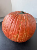 Realistic Resin Pumpkin