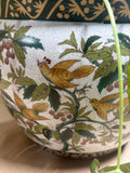 Asian Fish Bowl Planter with LIVE Plant