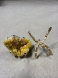 (F) Small Limonite Quartz On Stand