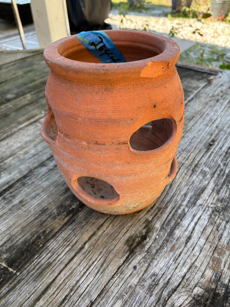 Terracotta “Strawberry” Jar Planter