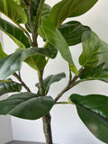 Artificial Fiddle Leaf Tree in Stone Pot