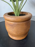 Artificial Philodendron in Wooden Pot