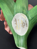 Lenox Porcelain Gladiolus