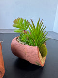 Pair of Artificial Succulent Arrangements in Tipped Resin Pots