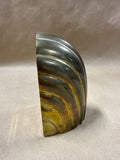 Single Brass Shell Style Bookend