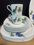24-Piece Studio Nova CH002 Harvest Grove Oven to Table China Set