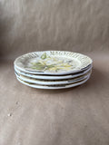 Pottery Barn Flower Salad Plates - Set Of 4