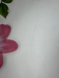 Franciscan Desert Rose Footed Cake Plate in Box