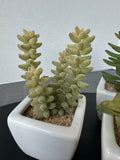 Trio of Faux Succulents in White Ceramic Pots