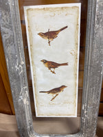 Pair of Framed Bird Prints