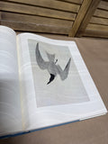 The Birds Of America Water Color Paintings Coffee Table Book