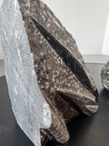 Pair of Polished Orthoceras Cephalopod Fossil Inlay Heavyweight Limestone Bookends