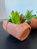 Pair of Artificial Succulent Arrangements in Tipped Resin Pots