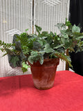 Faux Greenery Arrangement in Italian Terra Cotta Pot