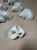 10-Piece Seashell Napkin Rings // 2 Sets Available // PRICED INDIVIDUALLY  (FF)