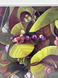 “Grapes” Print by Linda Amundsen; Signed & Numbered (218/500)
